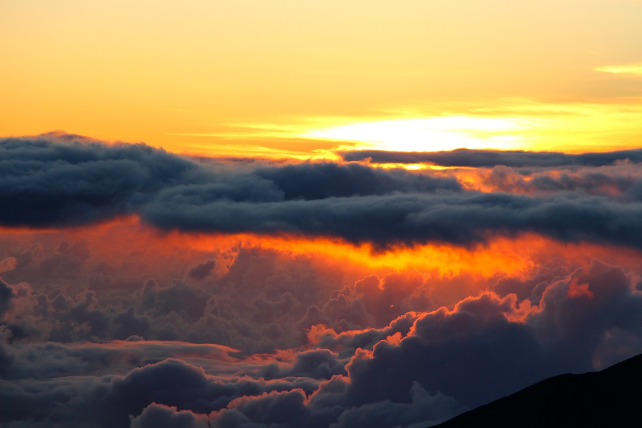 Public Sector organisations can now find Yellowfin on G-Cloud 10 Public Sector organisations can now find Yellowfin on G-Cloud 10